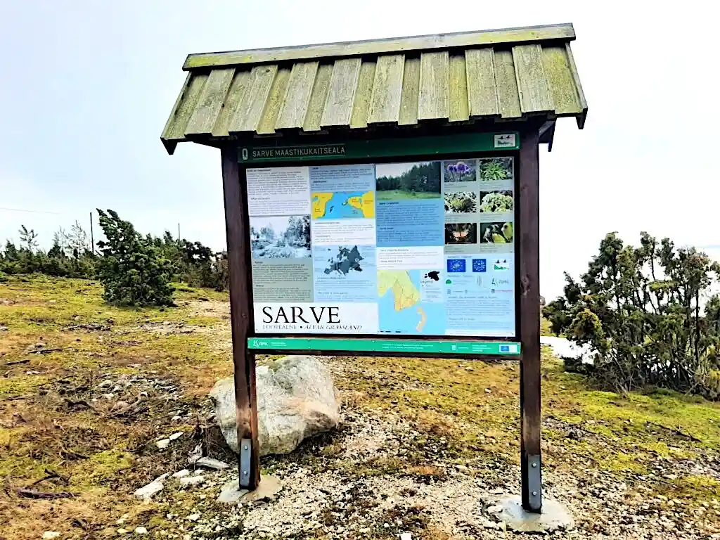 Sarve matkarajad, kuhu minna Hiiumaal kui Viscosasse tuled