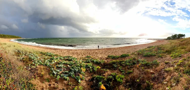 Ristna paradiisirand - imelise looduse ja suurimate lainetega Eesti oma Hawaii, kust leiad veel vene sõjaväe Kalana patarei vaatetorni